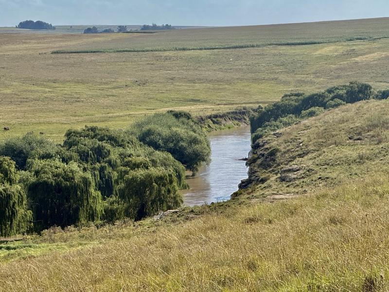 0 Bedroom Property for Sale in Harrismith Free State